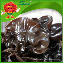 MUER FRESH BLACK FUNGUS